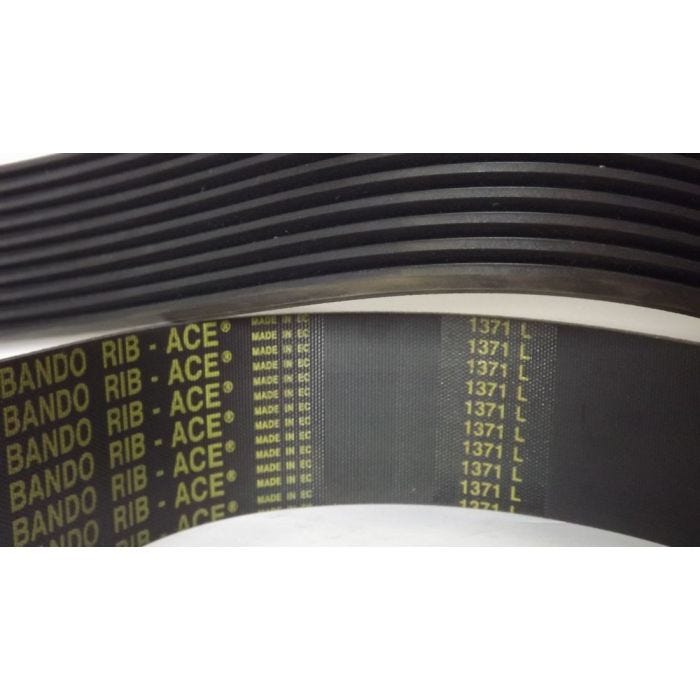 Imagen 3 de CORREA L 2997 (1 RIB) BANDO