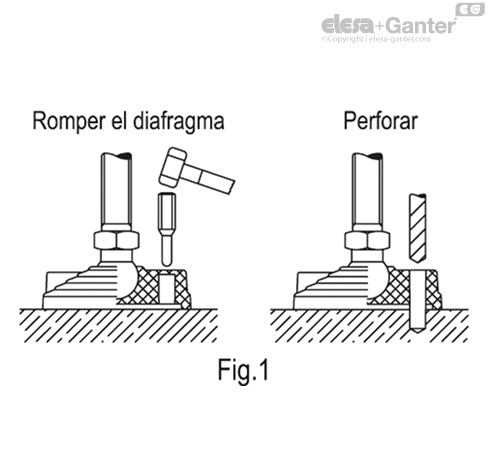 Imagen 3 de LV.F-80-14-AS-STP-M8x69