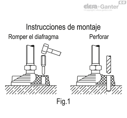 Imagen 3 de LV.F-80-24-AS