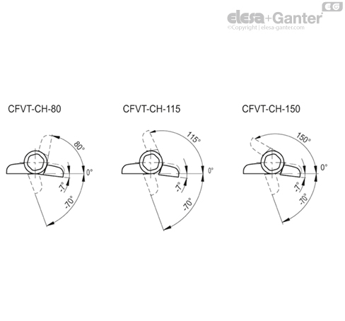 Imagen 3 de CFVT.53 CH-5