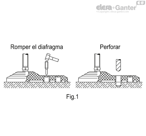Imagen 3 de LVQ.FO-80-14-AS-SST-M16x68