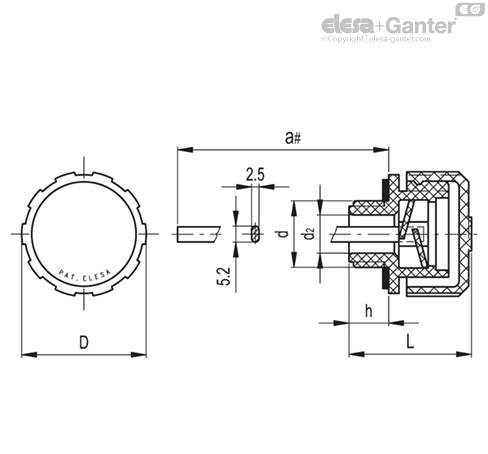 Imagen 2 de SFP.30-20x1.5+a-C2-N