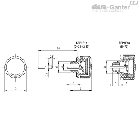Imagen 2 de SFP.70-1¼+F+a-C2-N