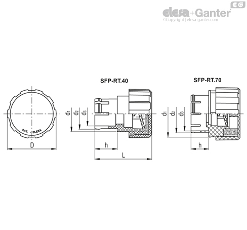 Imagen 2 de SFP-RT.40+F FOAM-C9