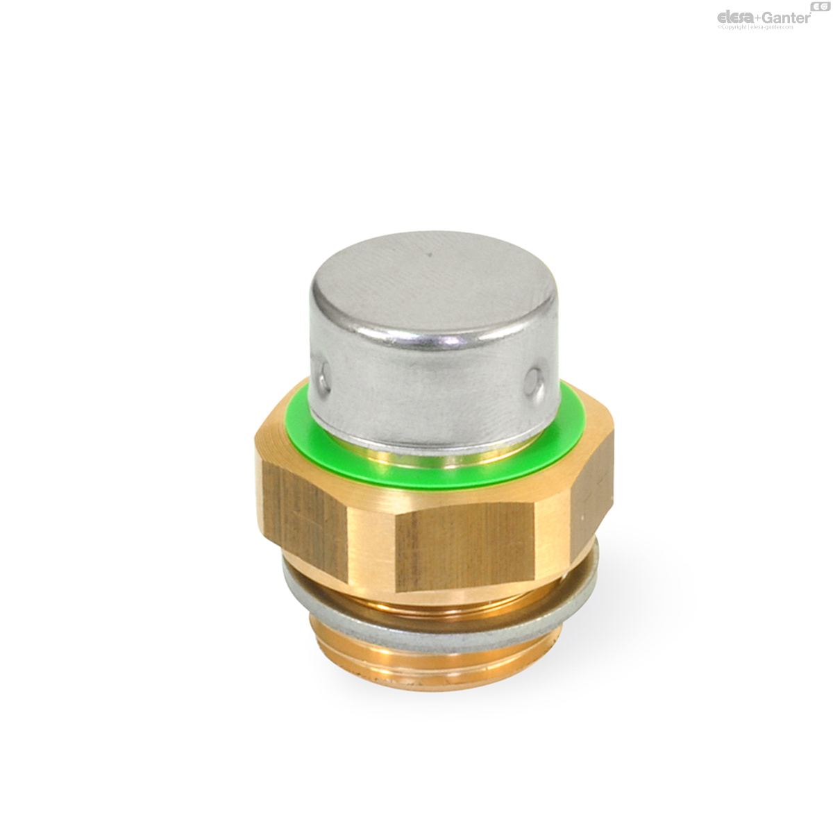 Imagen 1 de GN 881-G1/2-200-MS-M