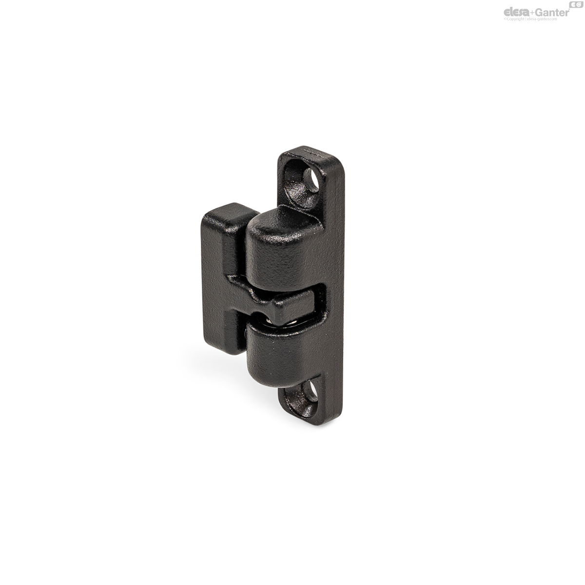 Imagen 1 de GN 4490-ZD-80-A2-BG-SW