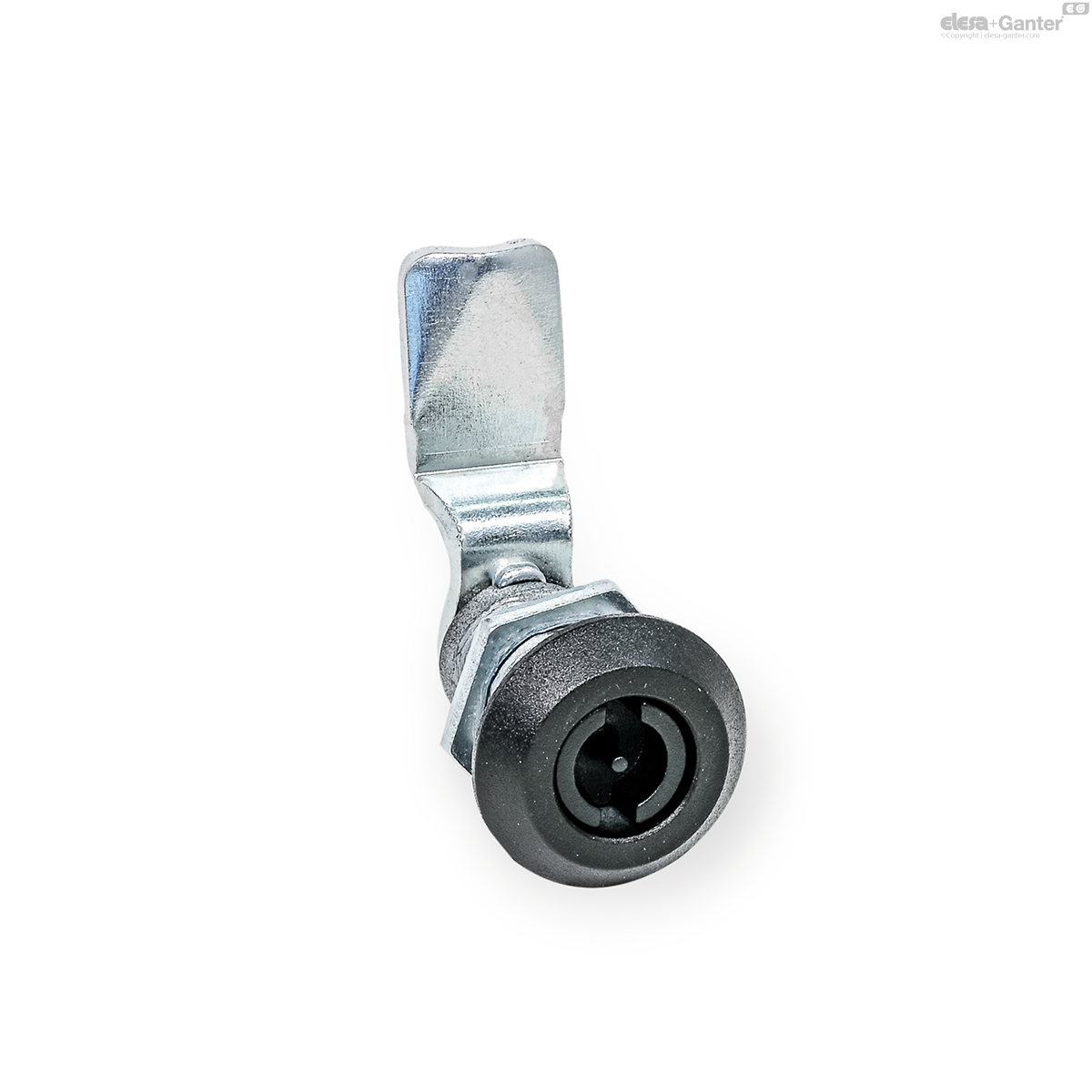 Imagen 1 de GN 515-ZD-VDE-50-40-SW