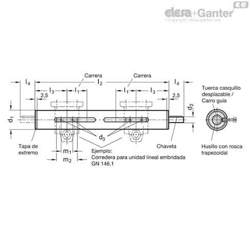 Imagen 2 de GN 292-60-300-RL2-SCR