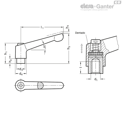 Imagen 2 de GN 300.1-78-M12-RH