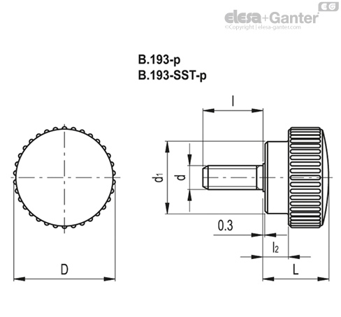Imagen 2 de B.193/20-SST-p-M6x25