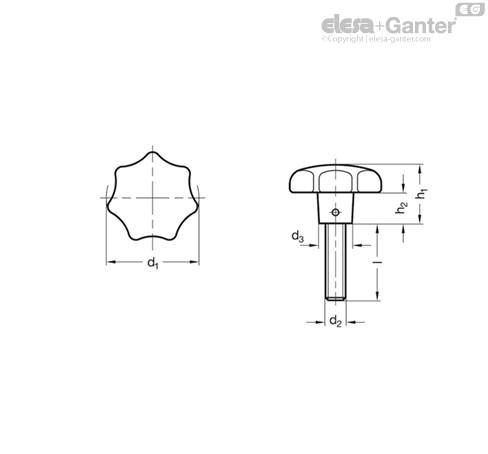 Imagen 2 de GN 6336.4-SG-80-M16-60