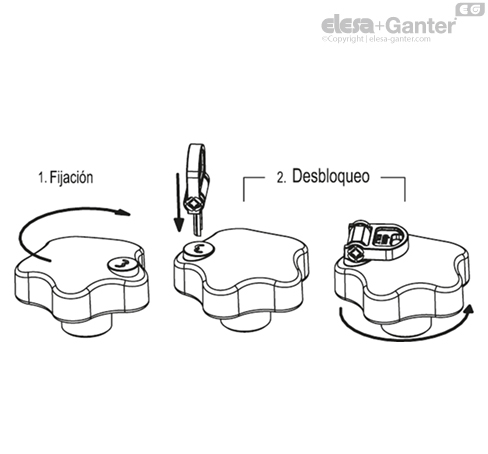Imagen 4 de VLS.55 B-M8-LP