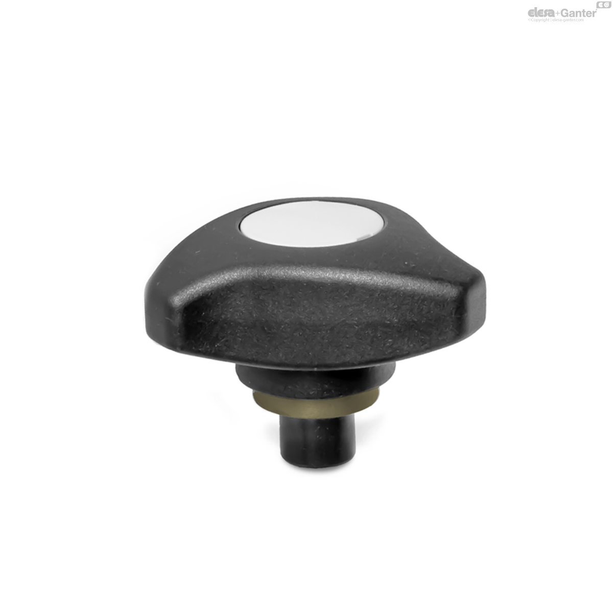 Imagen 1 de GN 3664-80-B10-5,5
