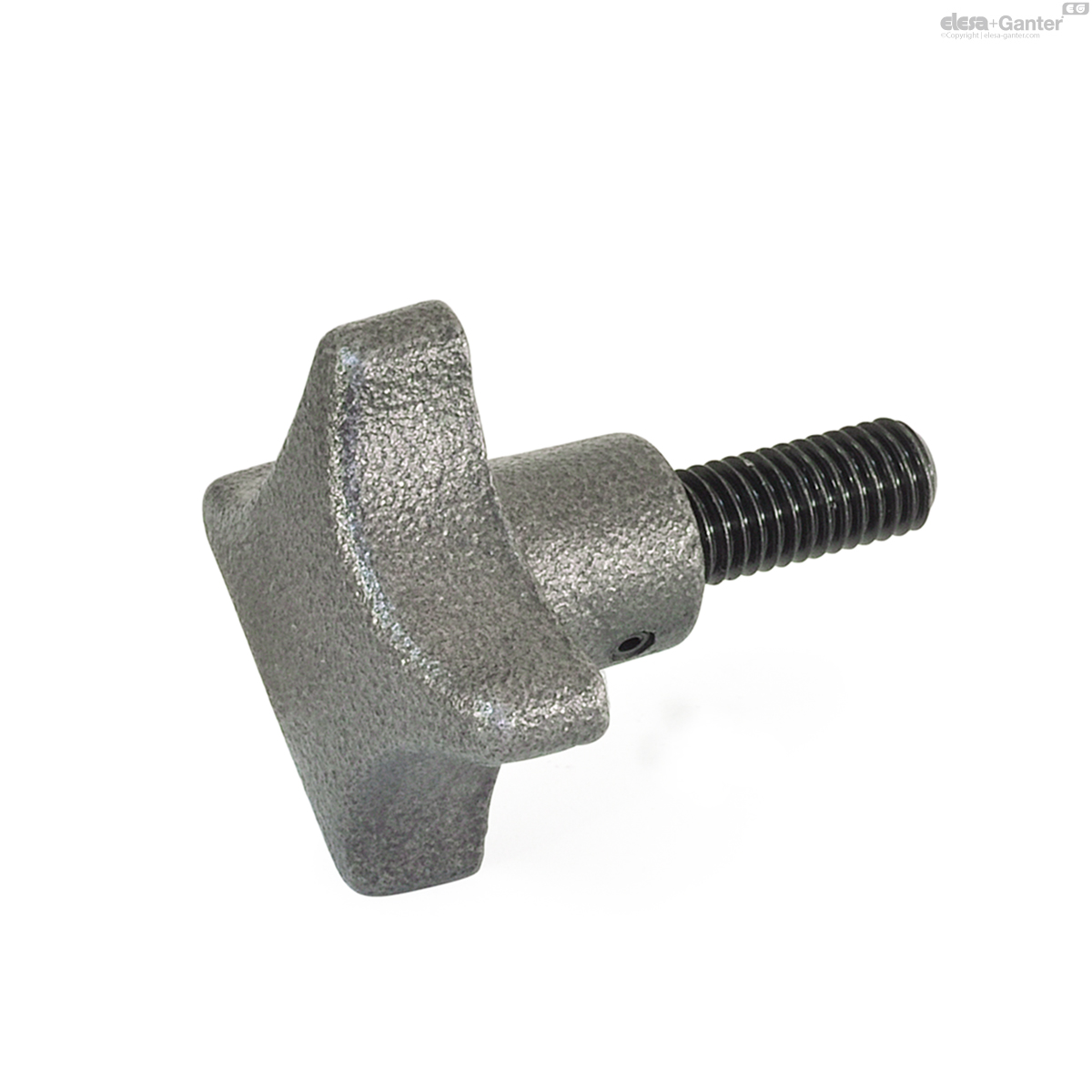 Imagen 1 de GN 6335.4-SG-80-M16-40