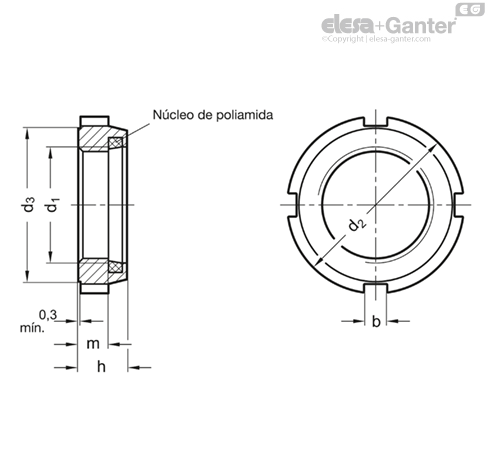Imagen 2 de GN 1804.1-M55x2