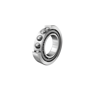 Imagen 1 de 7203-B-XL-JP