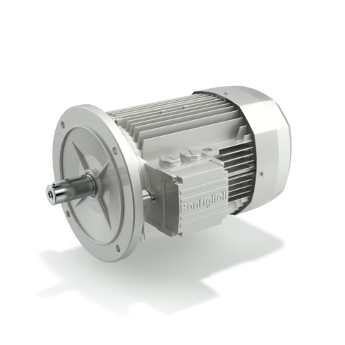 Imagen 1 de BN 71B 2 230/400-50 IP55 CLF B14 E3