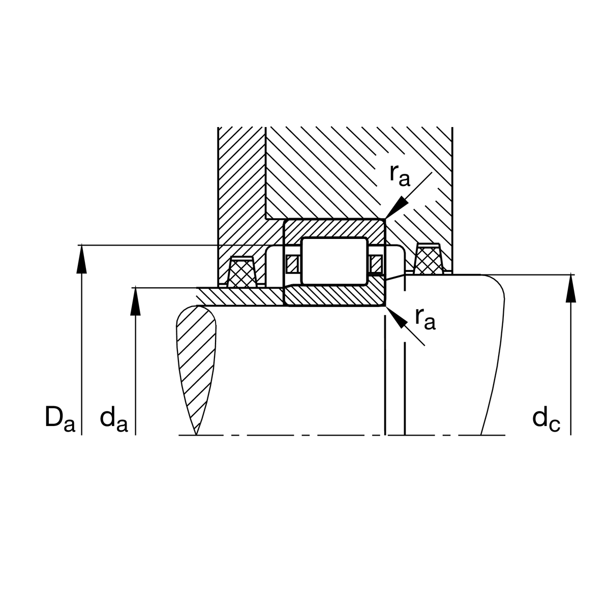 Imagen 5 de NJ328-E-XL-M1