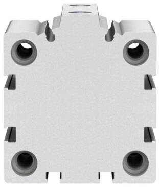 Imagen 2 de Cilindro de carrera corta - ADVC-50-25-A-P