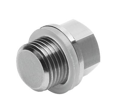 Imagen 1 de Tapón ciego - CDVI5.0-B-G1/8