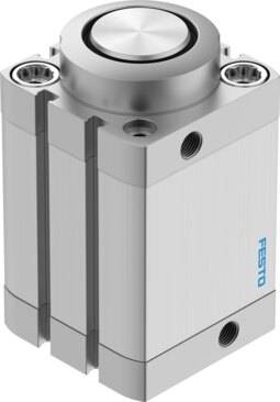 Imagen 1 de Cilindro de tope - DFSP-50-30-DS-PA
