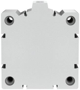 Imagen 2 de Cilindro de carrera corta - ADVC-100-25-A-P